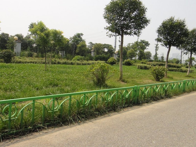 东坡区绿化带护栏